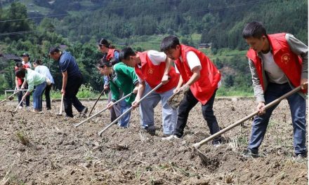 In Foreigners’ Eyes: What Galvanizes Young People in a Changing China